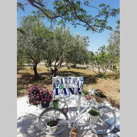 Apartman Lana Lozovac Exterior foto